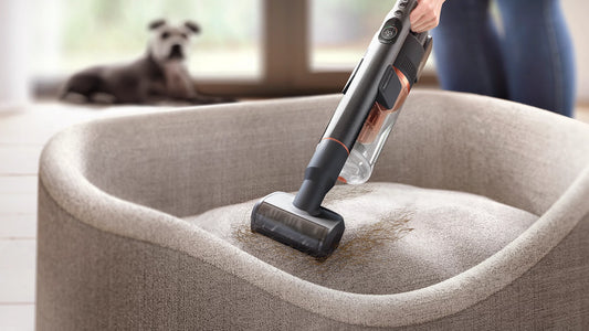 Philips Akku-Staubsauger der 8000er Serie XC8054/01