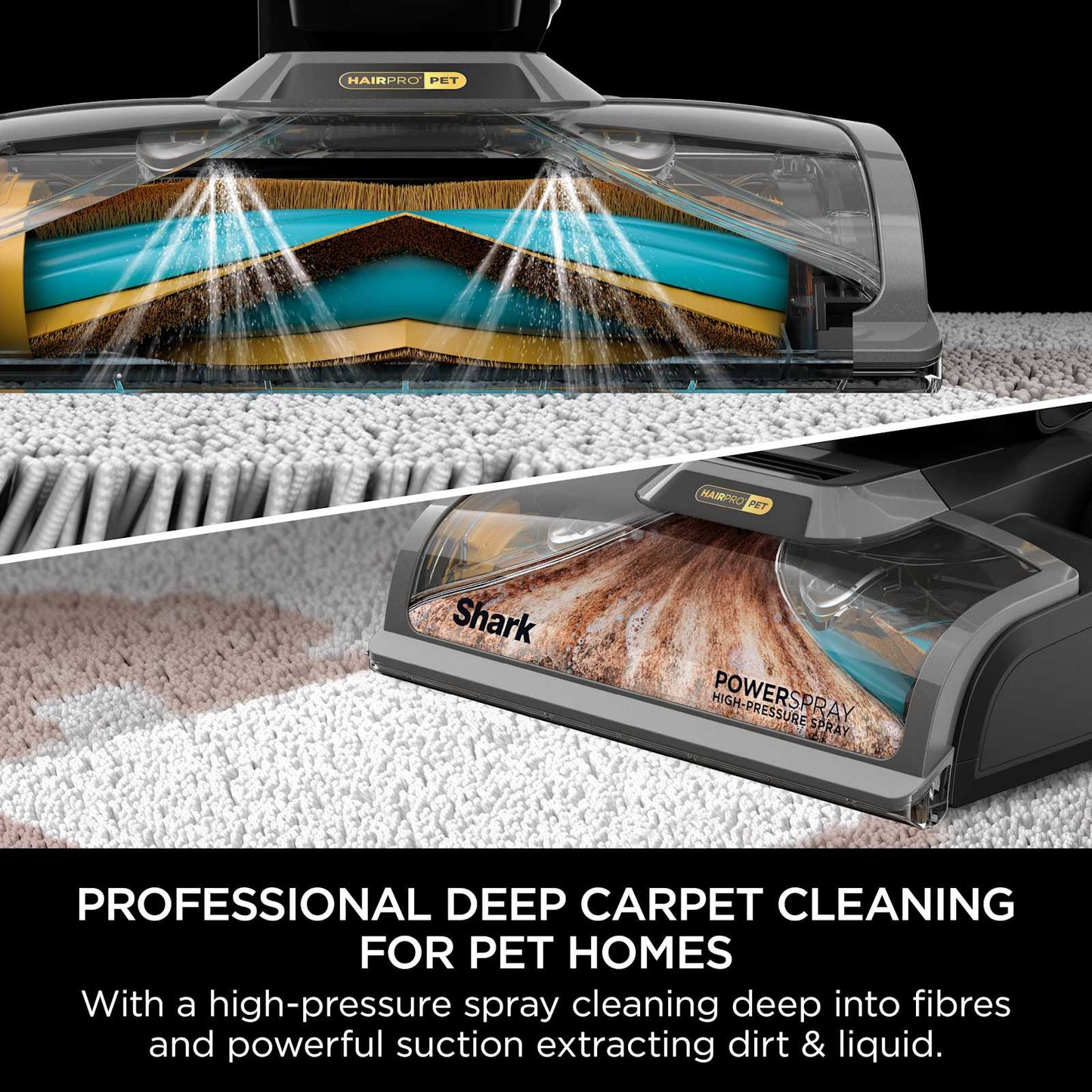 SharkNinja CarpetXpert HairPro Pet Deep Carpet Cleaner EX300UK — Negro