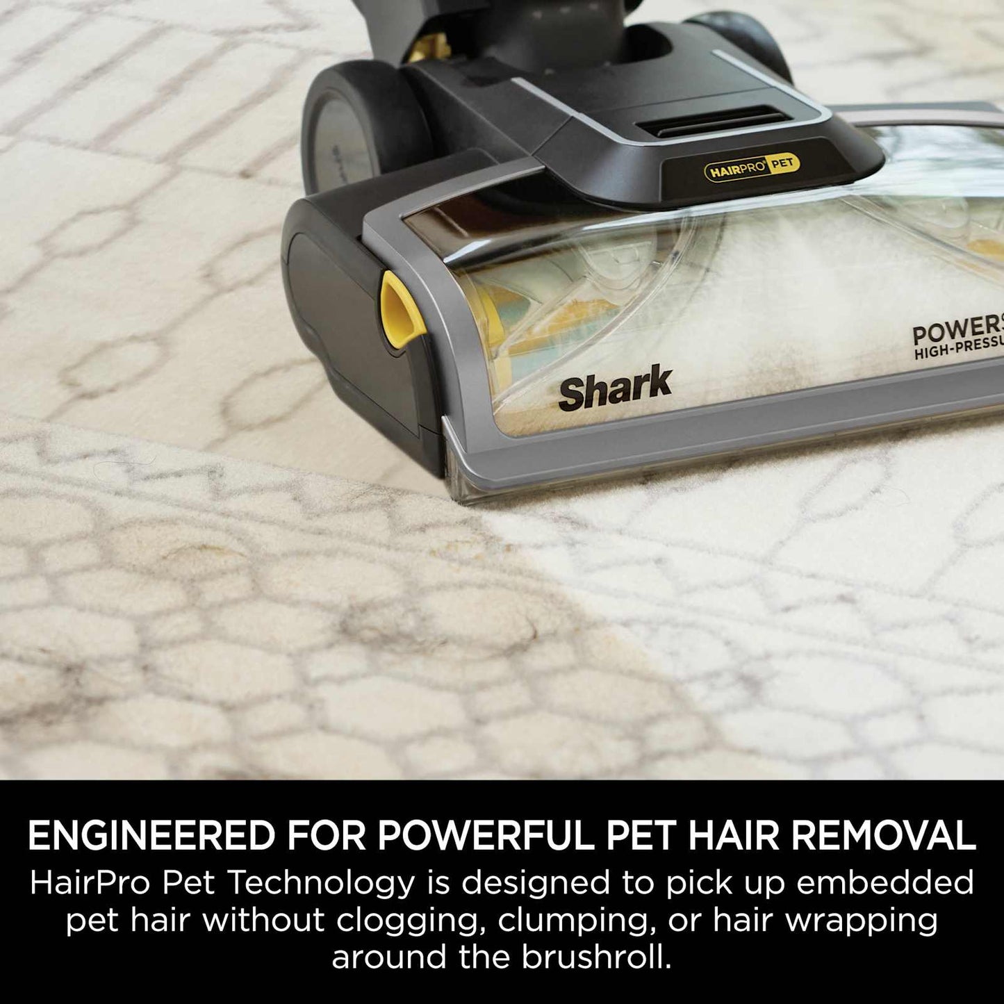 SharkNinja CarpetXpert HairPro Pet Deep Carpet Cleaner EX300UK — Negro