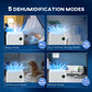 HOMCOM 5500mL Portable Dehumidifier with Air Purifier, UVC, Ioniser, 24H Timer, 5 Modes, 16L/Day, for Home Laundry, White
