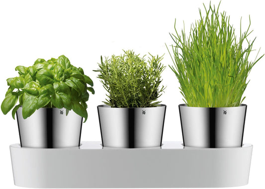 WMF 0641306040 Indoor Pot planter Freestanding Stainless steel